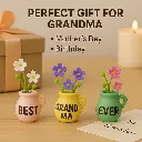 61Lhu1EkywL._AC_SL1024_.webp